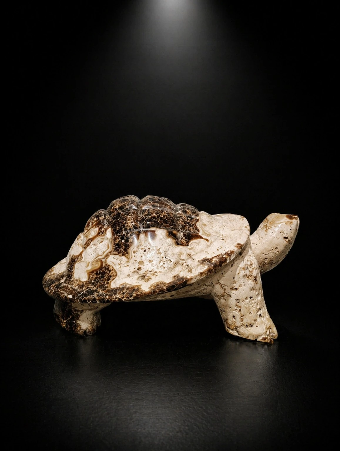The Patterned Turtle