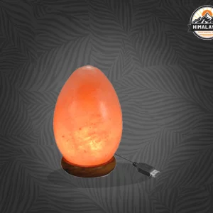 Egg USB Salt Lamp