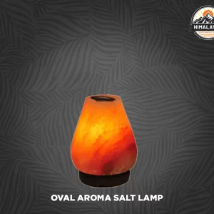 Oval Aroma Salt Lamp
