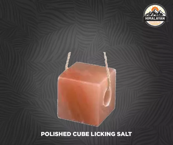 Polished Cube Licking Salt
