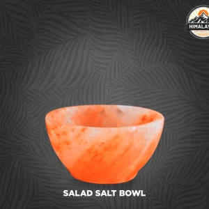 Salt Salad Bowl