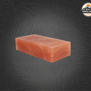 Himalayan Pink Salt Bricks