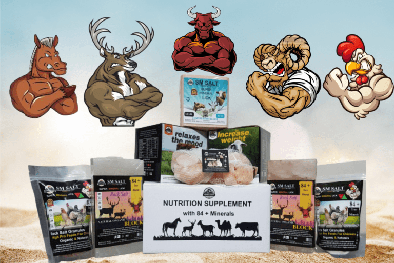 animal lick salt products