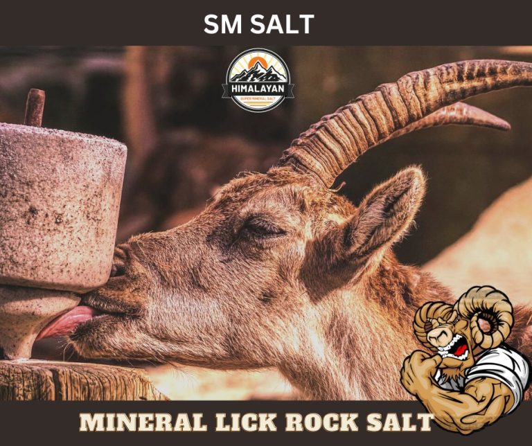 what is salt lick