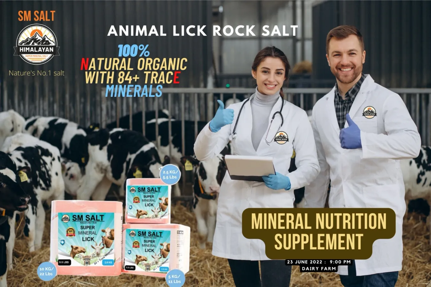 Cow Lick Salt Blocks