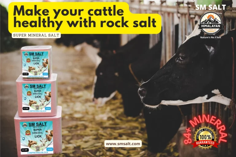 Salt Lick Block for Cows