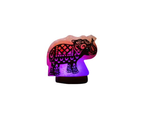 3D Elephant wooden Usb Salt Lamp