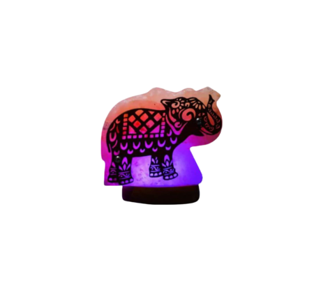 3D Elephant wooden Usb Salt Lamp