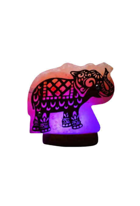 3D Elephant wooden Usb Salt Lamp