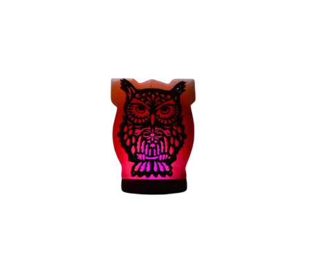 3D Owl Wooden Usb salt lamp