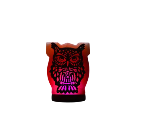 3D Owl Wooden Usb salt lamp