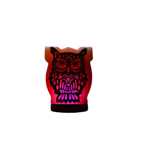 3D Owl Wooden Usb salt lamp