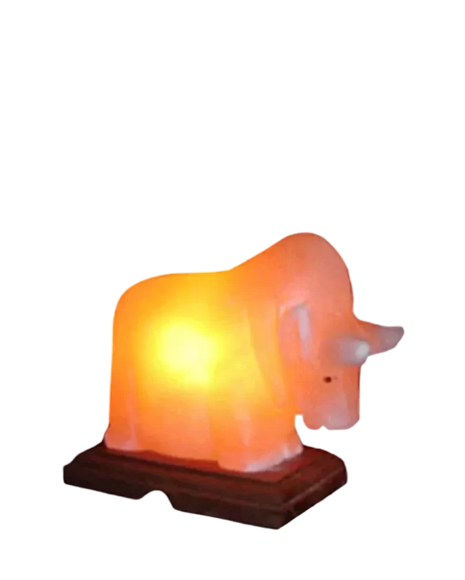 Bull Salt Lamp