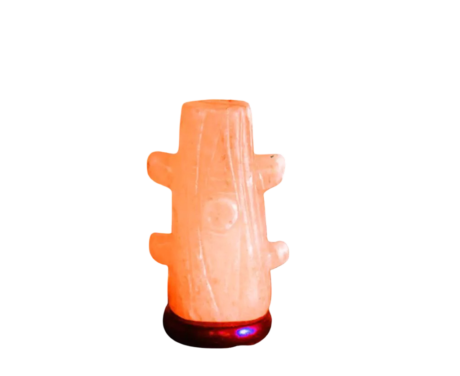 Cactus Salt Lamp