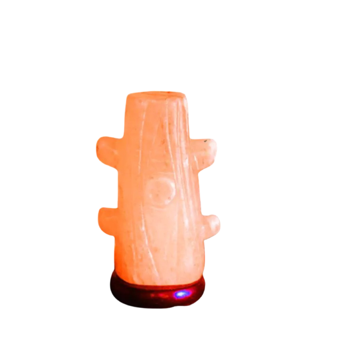 Cactus Salt Lamp