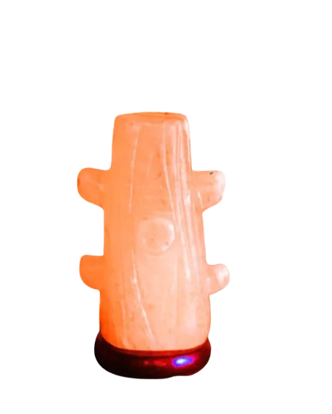 Cactus Salt Lamp
