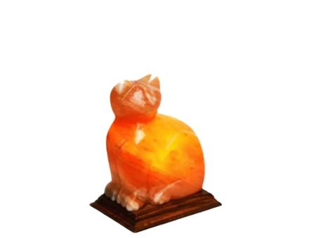 Cat Salt Lamp