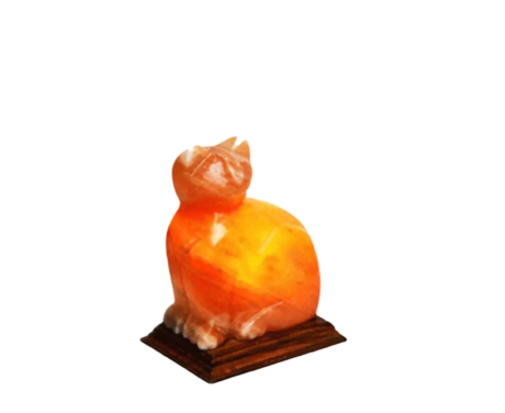 Cat Salt Lamp