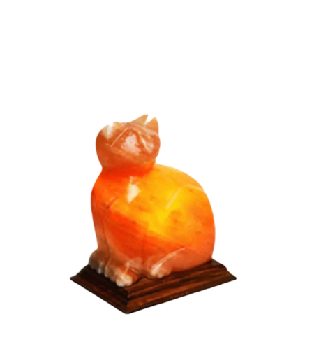 Cat Salt Lamp