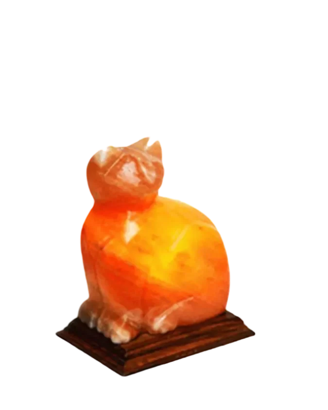 Cat Salt Lamp