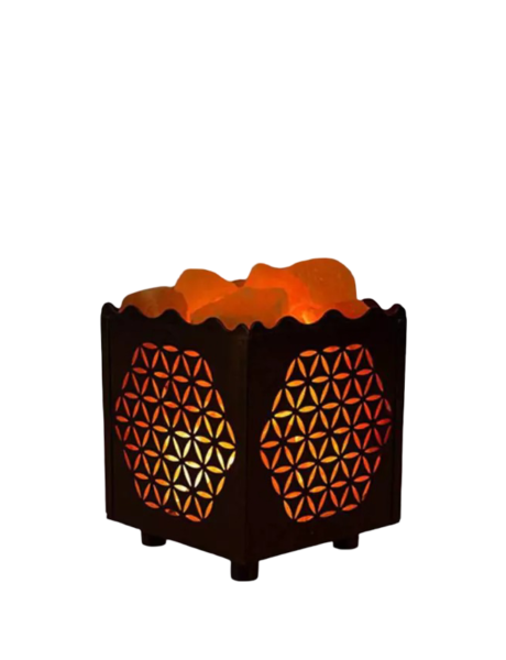 Chinese Style Iron Basket Salt Lamp