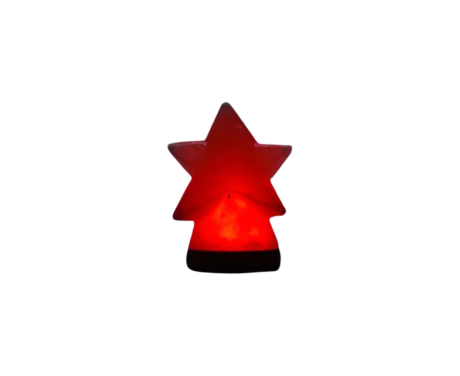 Christmas wooden Usb Salt Lamp