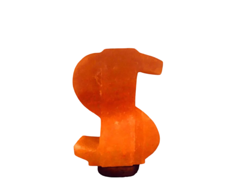 Dollar Salt Lamp