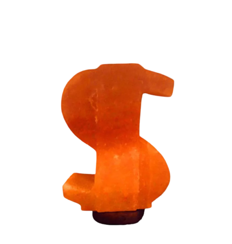 Dollar Salt Lamp