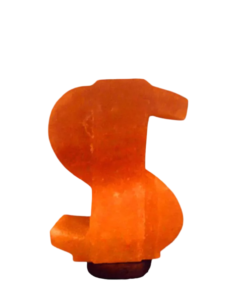 Dollar Salt Lamp