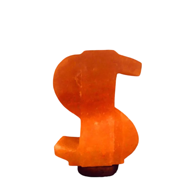 Dollar Salt Lamp