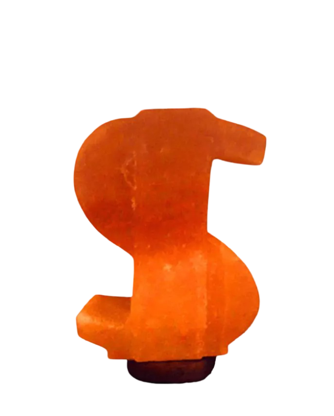 Dollar Salt Lamp