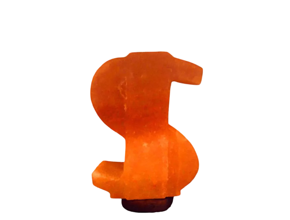 Dollar Salt Lamp