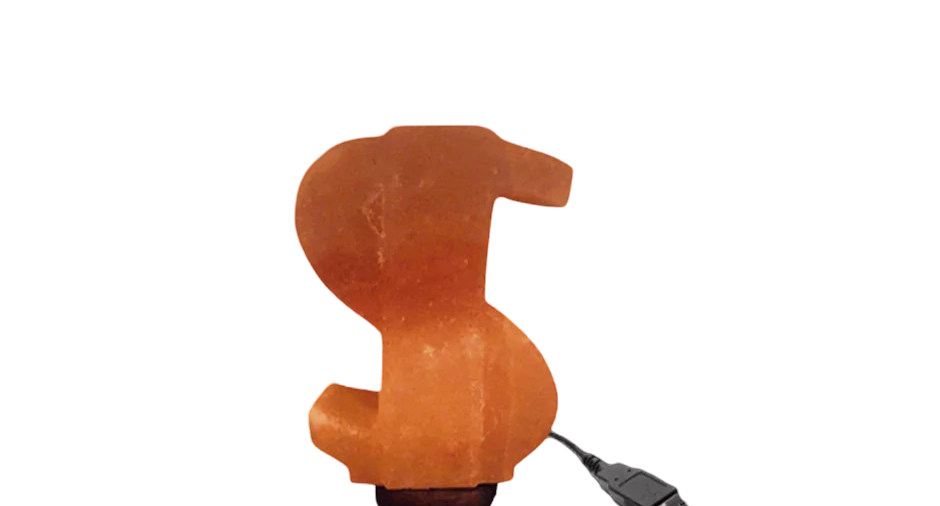 Dollar USB Lamp