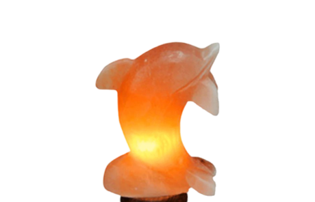 Dolphin Salt Lamp
