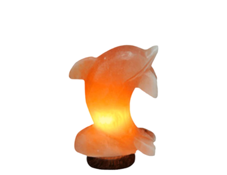 Dolphin Salt Lamp