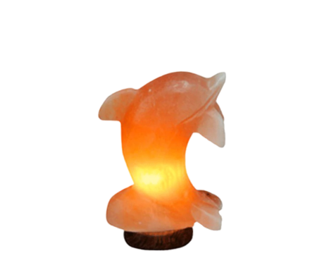 Dolphin Salt Lamp