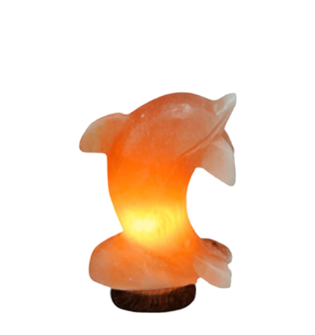Dolphin Salt Lamp