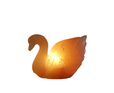 Duck Salt Lamp
