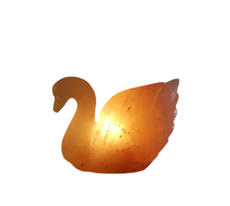 Duck Salt Lamp