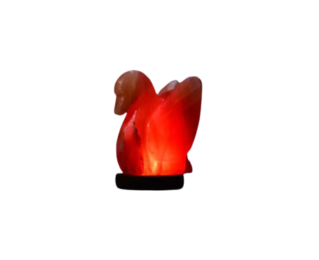 Duck Usb Salt Lamp