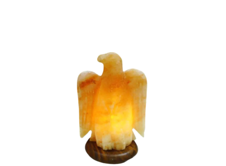 Eagle Salt Lamp