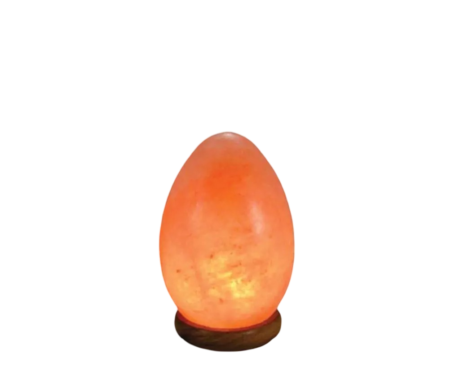 Egg Salt Lamp