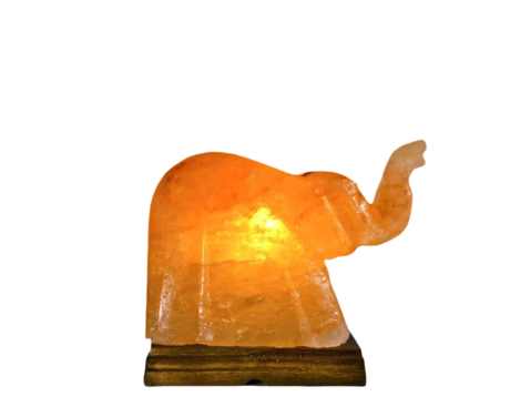 Elephant Salt Lamp