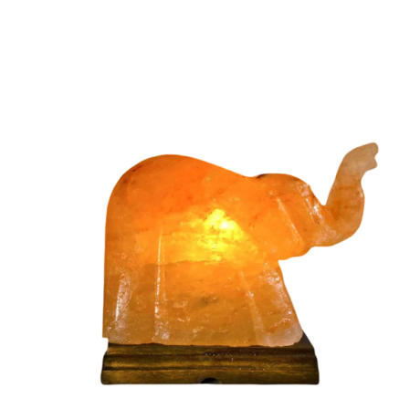 Elephant Salt Lamp