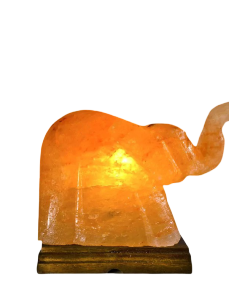 Elephant Salt Lamp