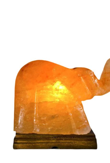 Elephant Salt Lamp