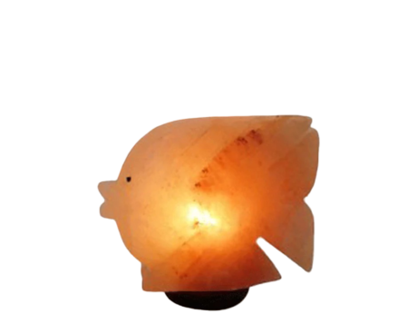 Fish Salt Lamp