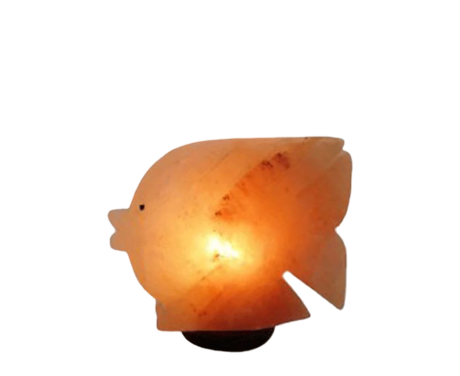 Fish Salt Lamp