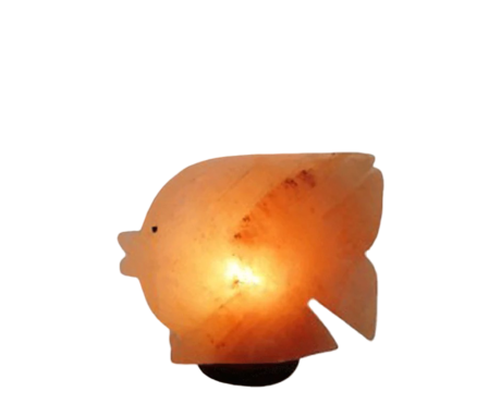 Fish Salt Lamp