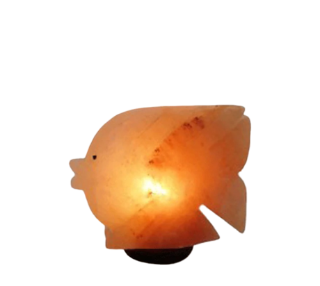 Fish Salt Lamp
